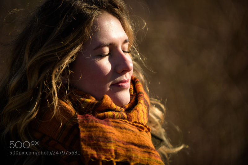 Nikon D4S sample photo. That winter sun photography