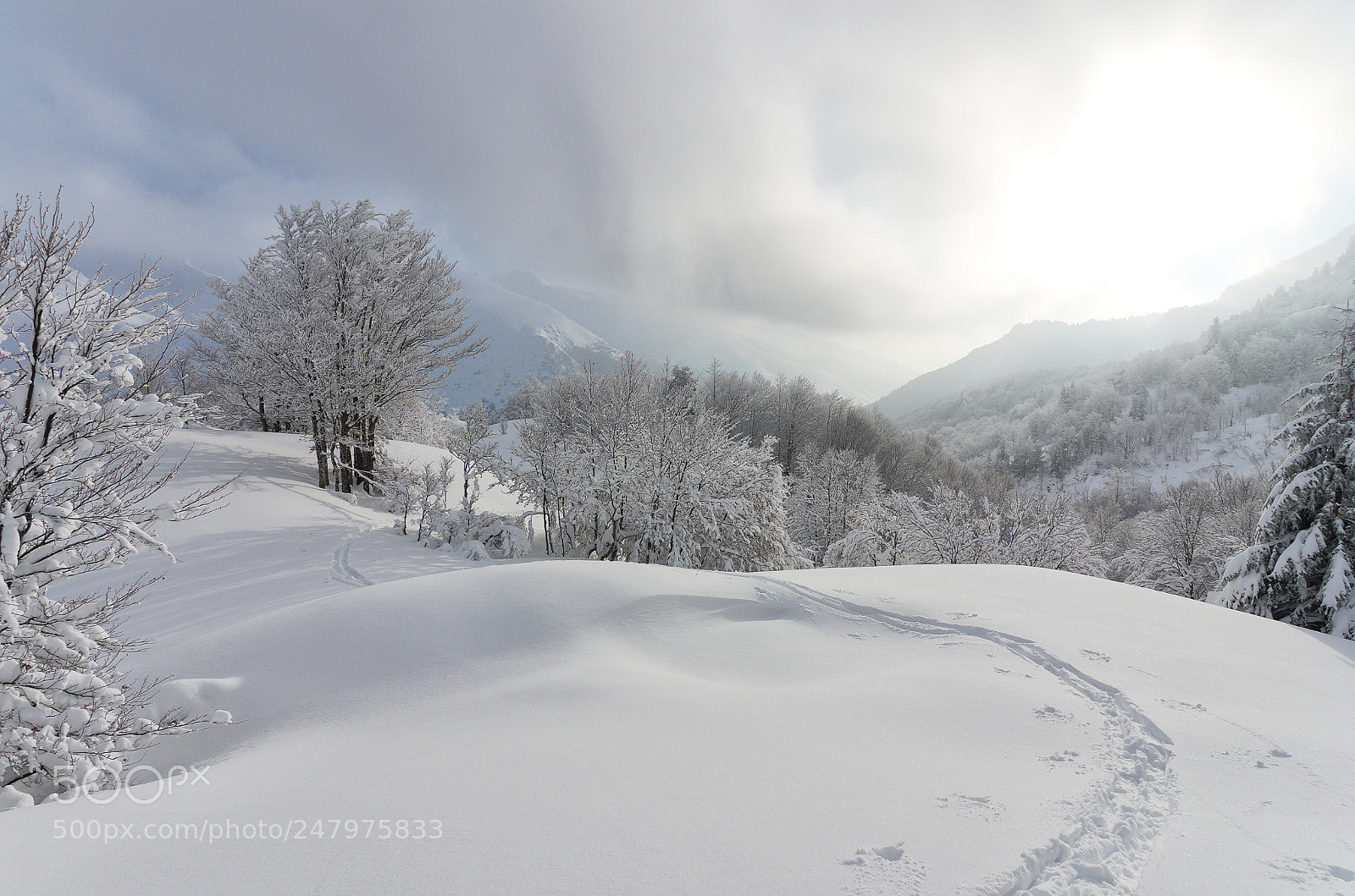 Pentax K-5 IIs sample photo. Way of snow photography