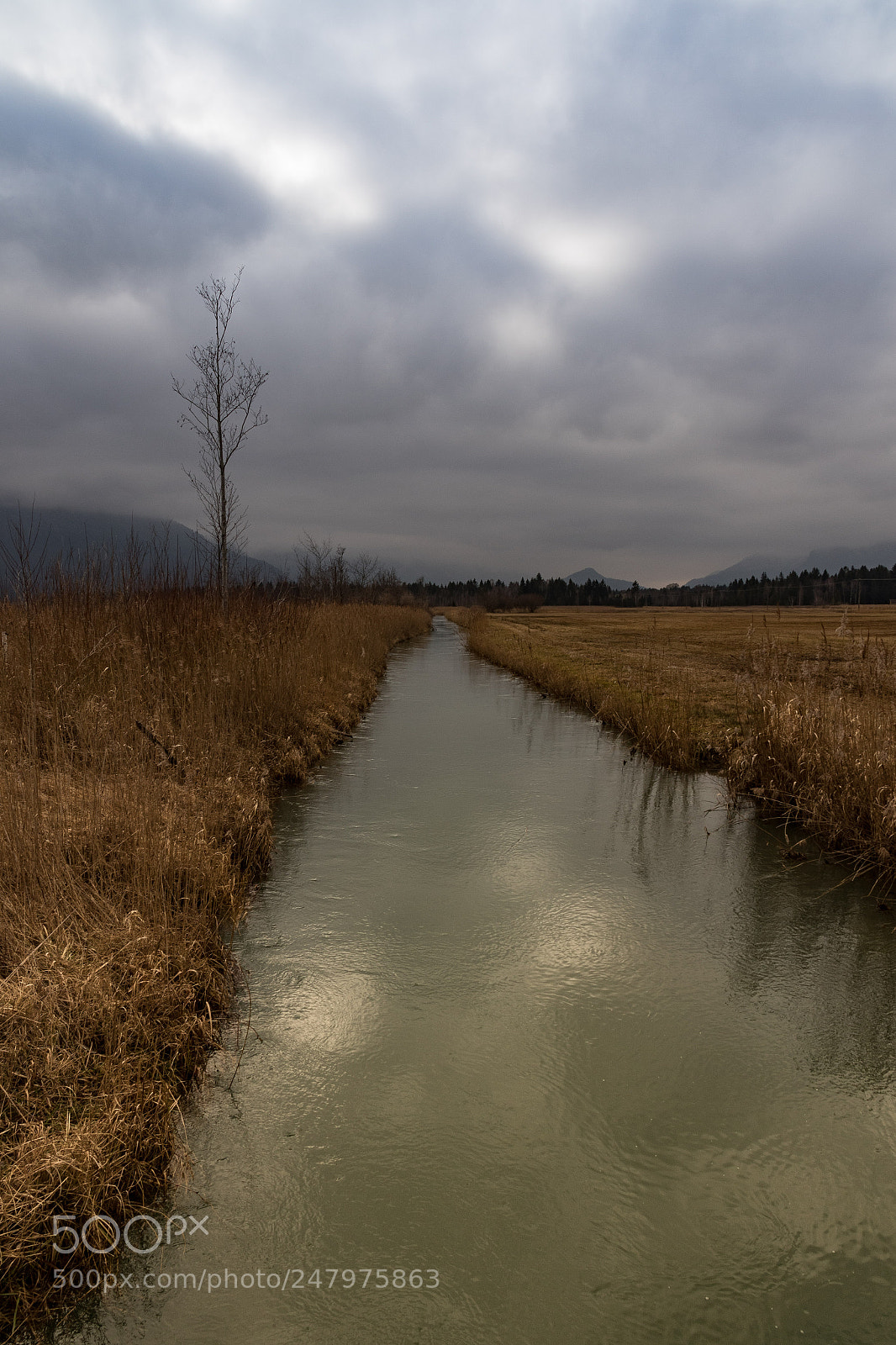 Canon EOS 7D Mark II sample photo. Murnauer moos photography