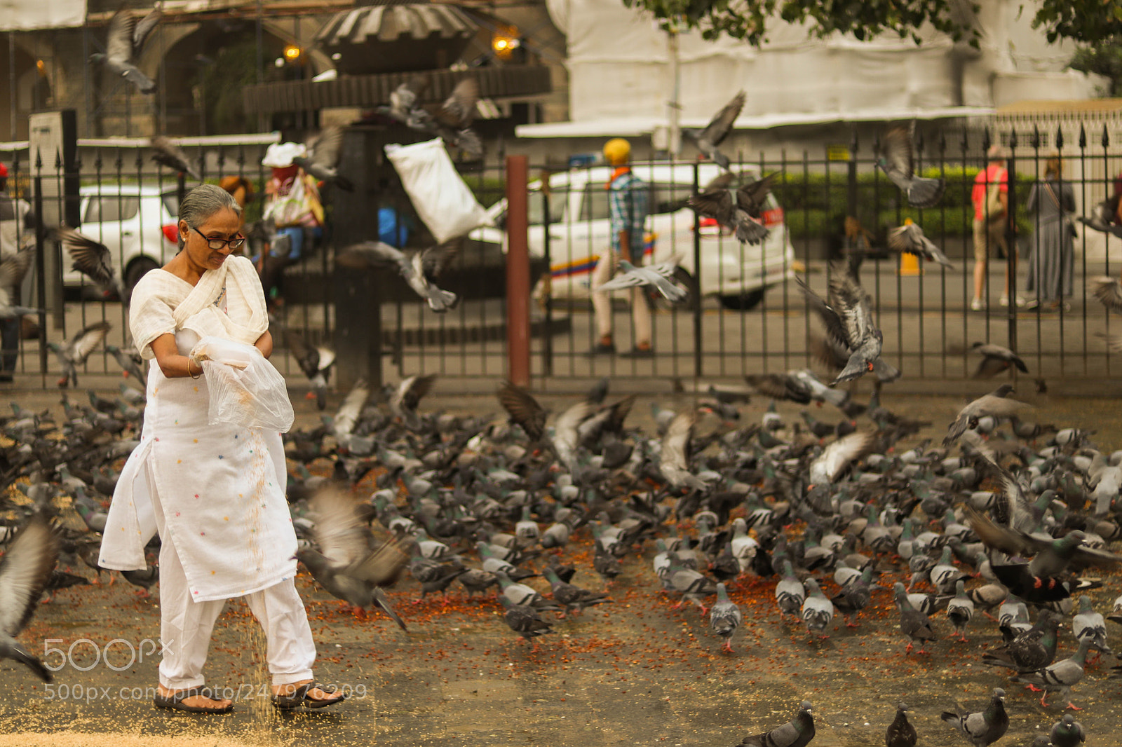 Canon EOS 200D (EOS Rebel SL2 / EOS Kiss X9) sample photo. Indian woman feeding pigeons photography