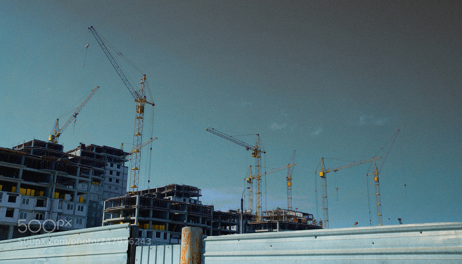 Sony SLT-A57 sample photo. 11 cranes photography