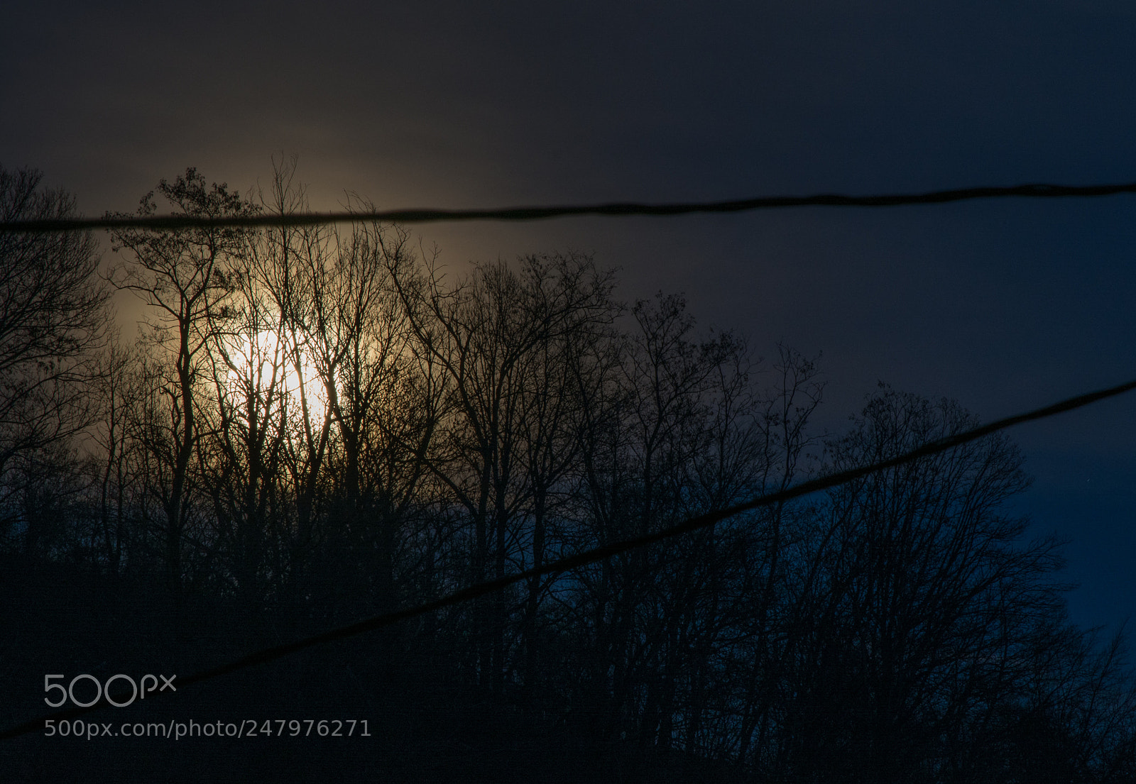Nikon D5200 sample photo. Framing the moon photography