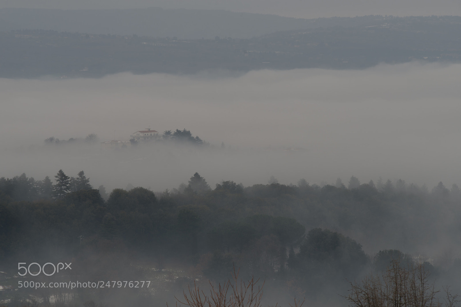 Nikon D610 sample photo. Under the fog photography