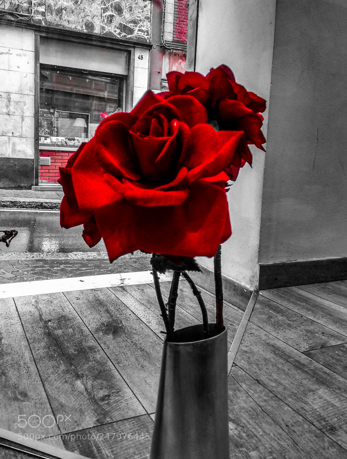 Xiaomi Redmi Note 4 sample photo. Untitled photography