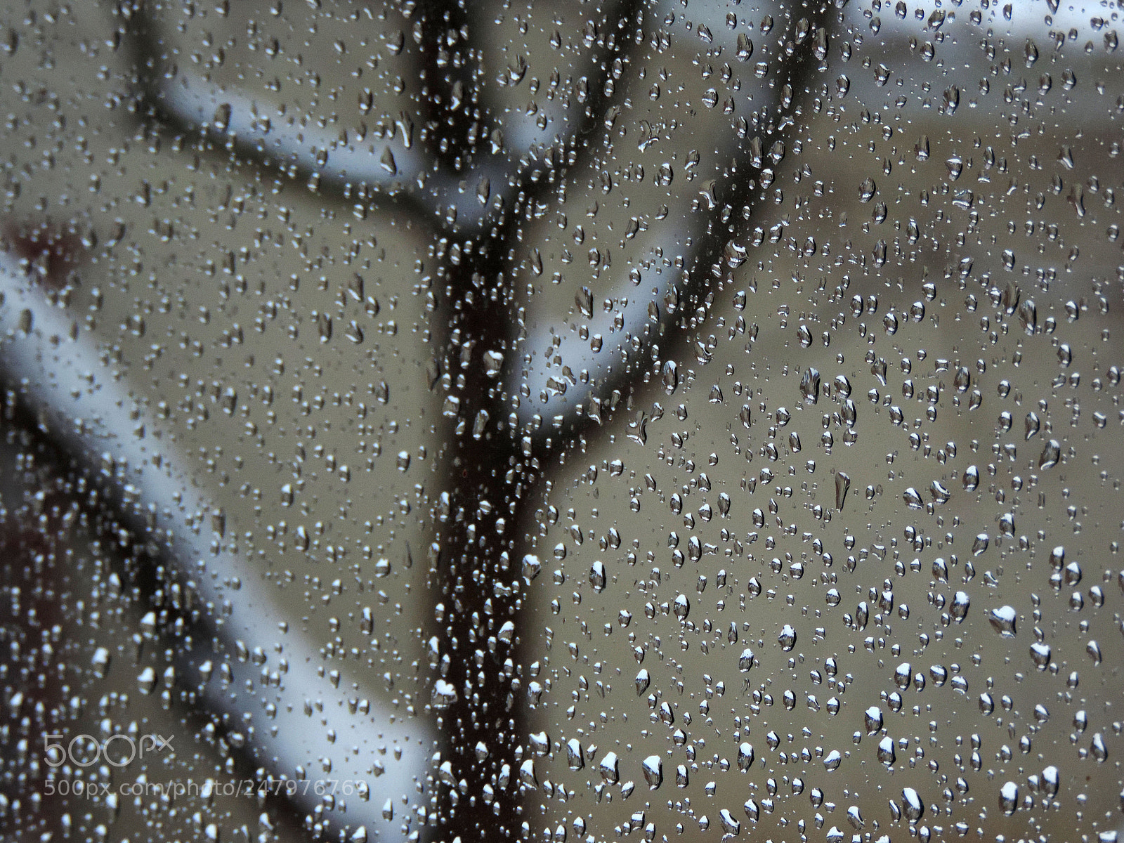 Nikon Coolpix P520 sample photo. Drops and drips photography