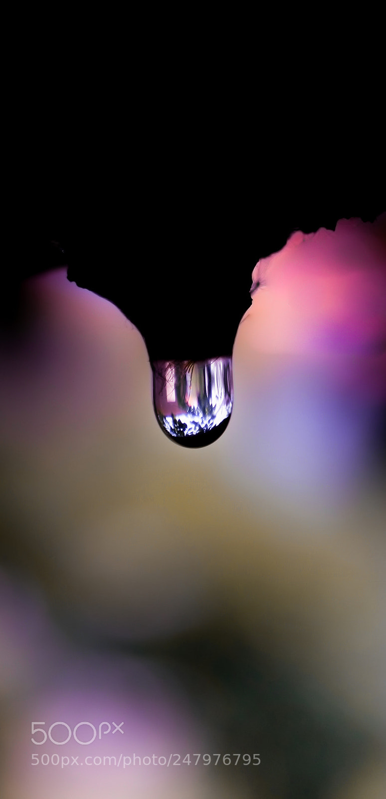 Canon EOS 40D sample photo. Drop photography