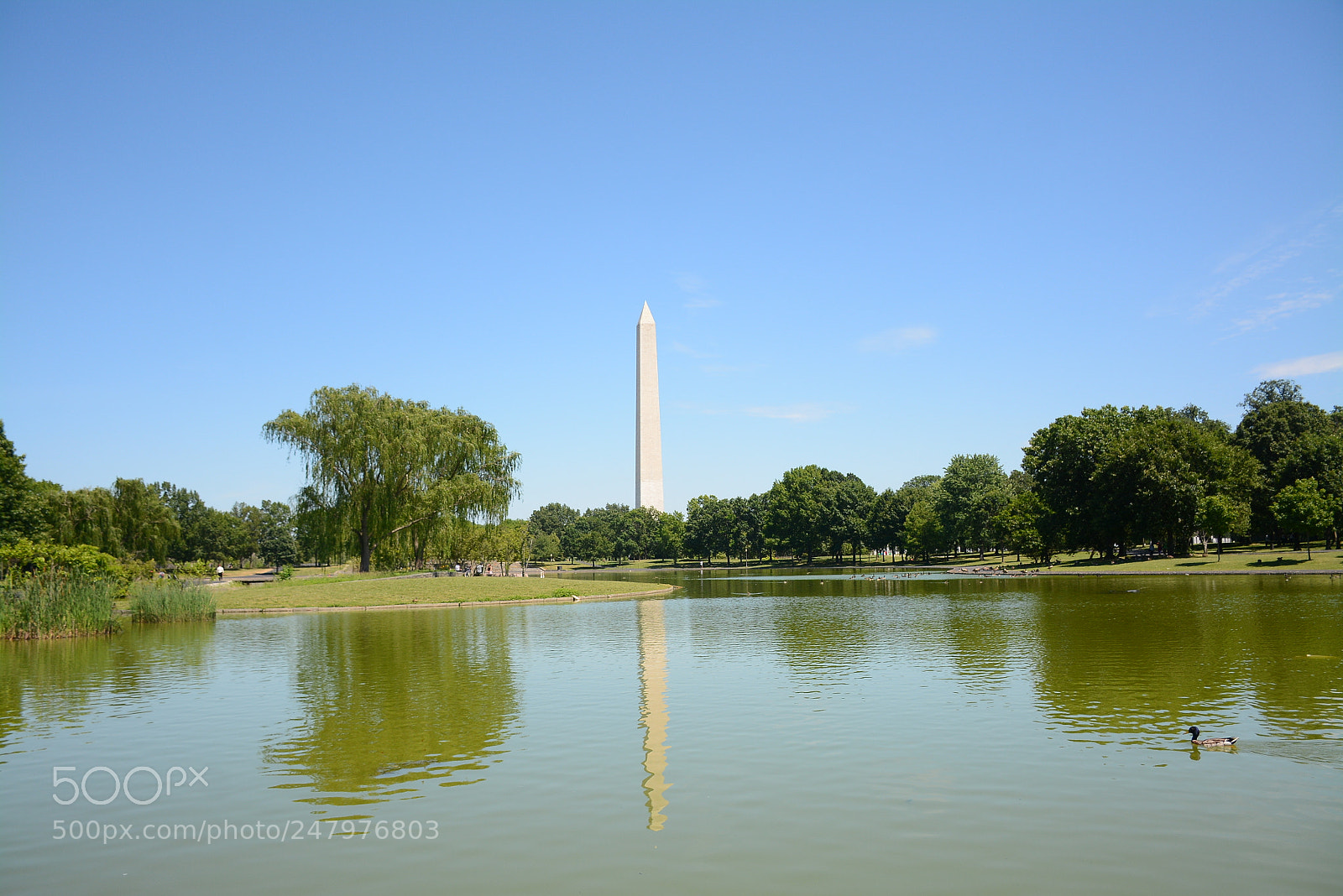 Nikon D7100 sample photo. Dc photography