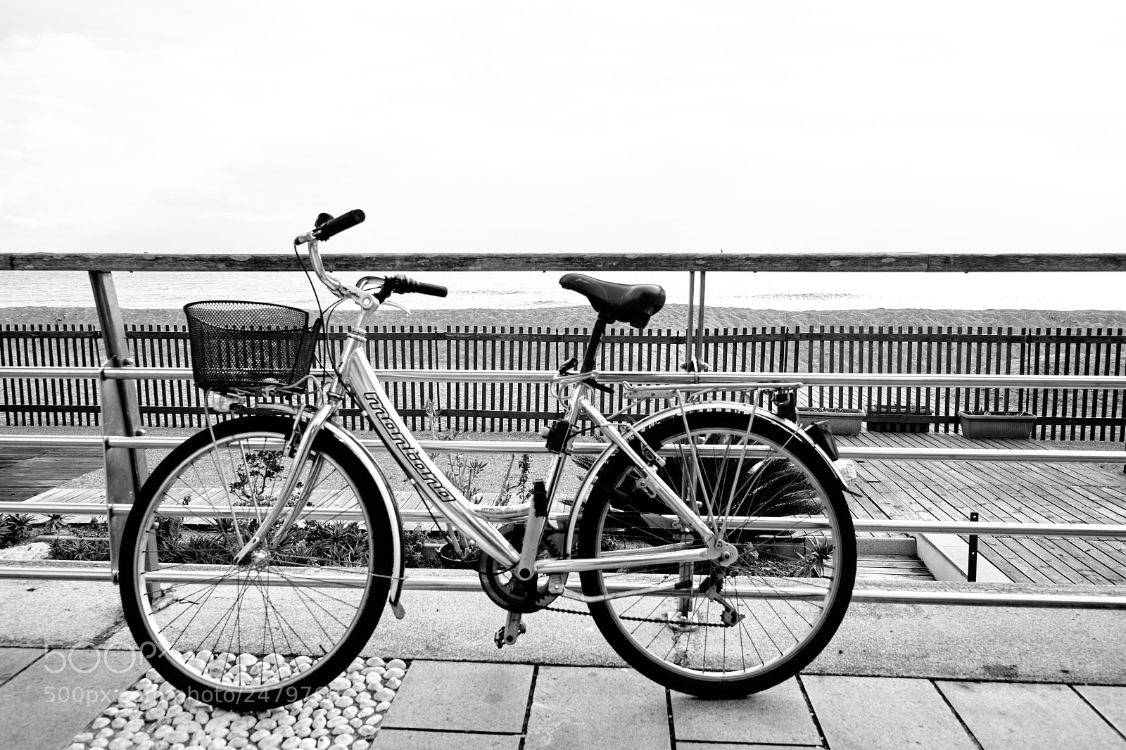 Sony Alpha NEX-7 sample photo. Lzn photography