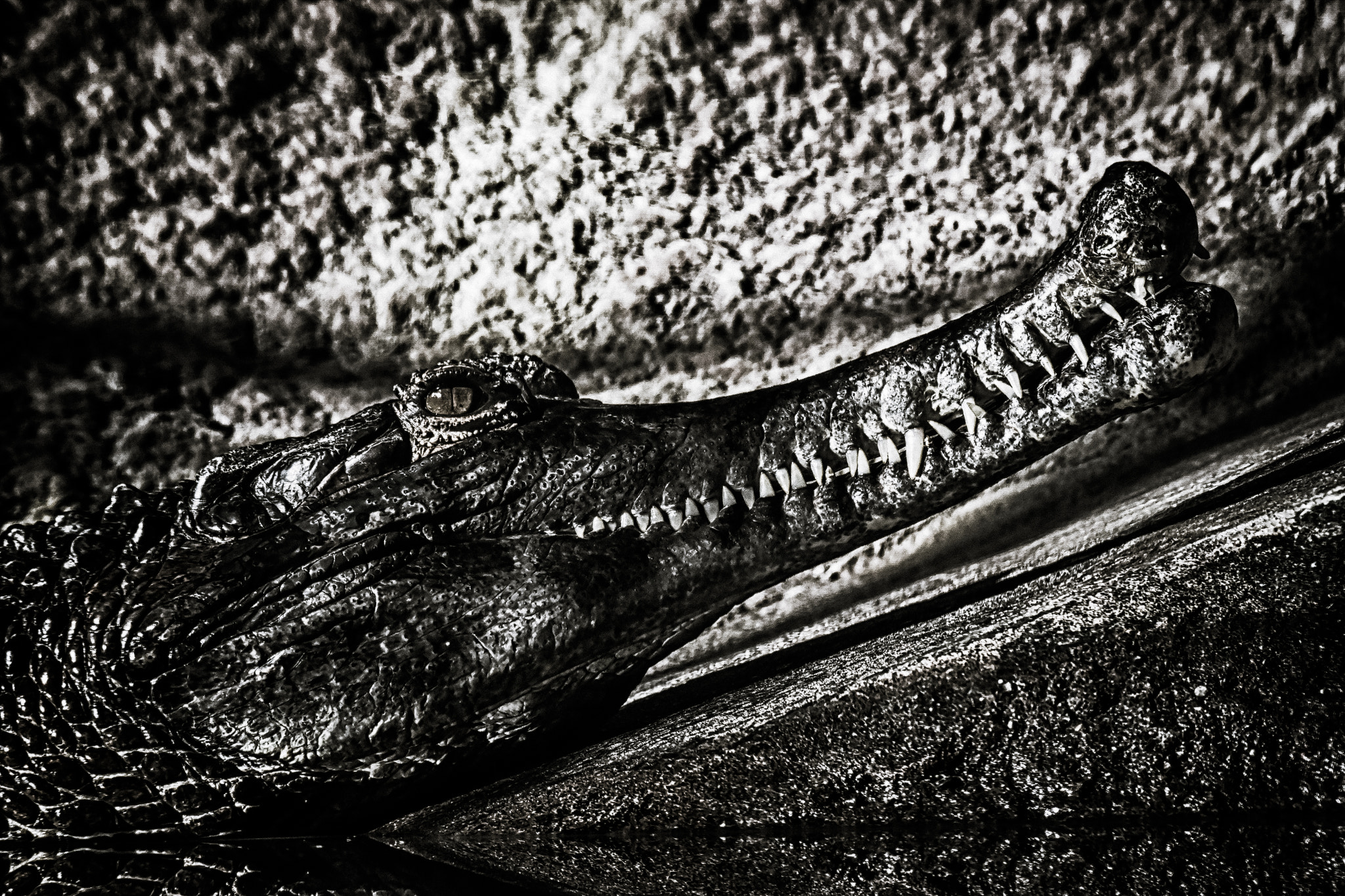 Nikon 1 V3 sample photo. Landing photography