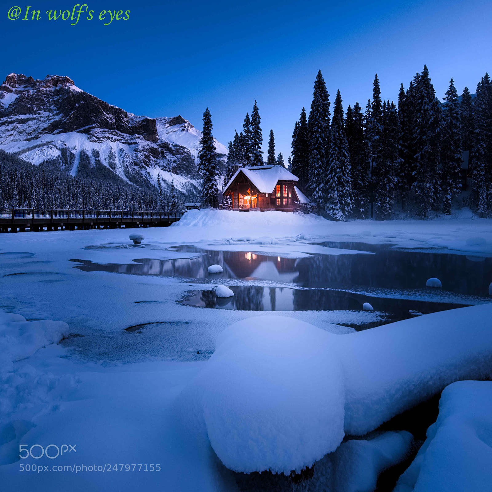 Nikon D810 sample photo. Morning light, canada photography