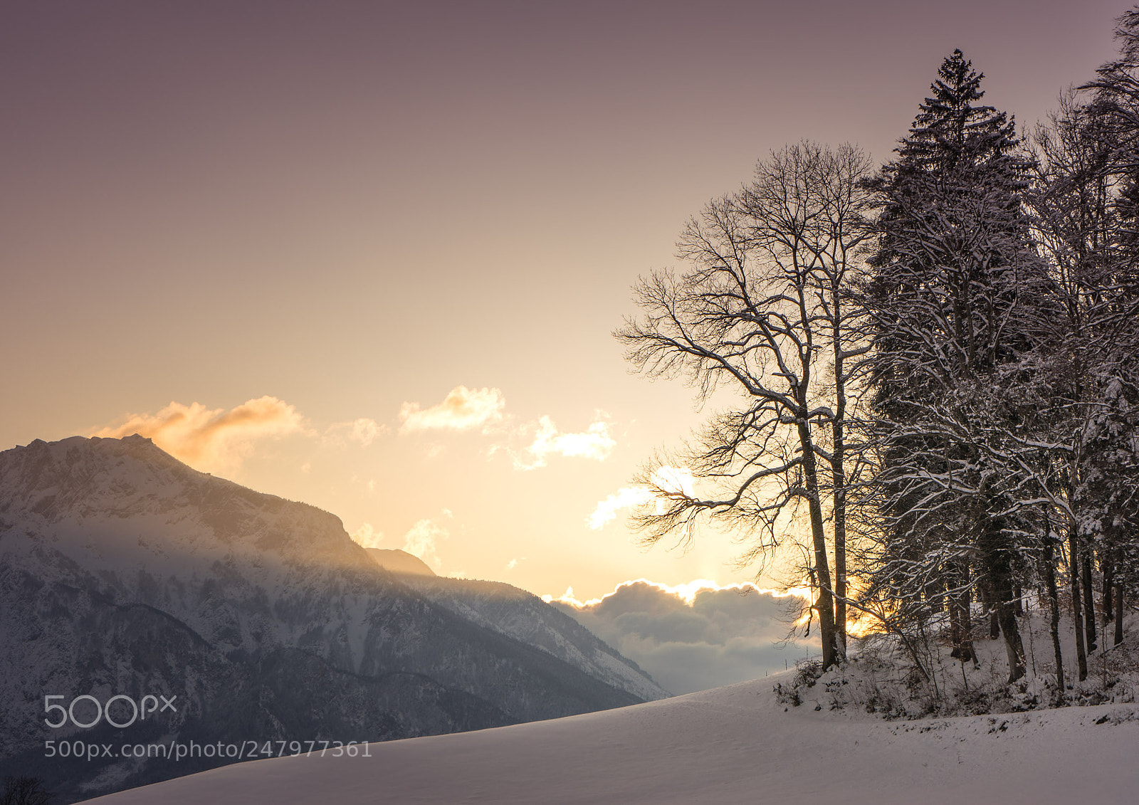 Sony a7 sample photo. Winter sunset photography