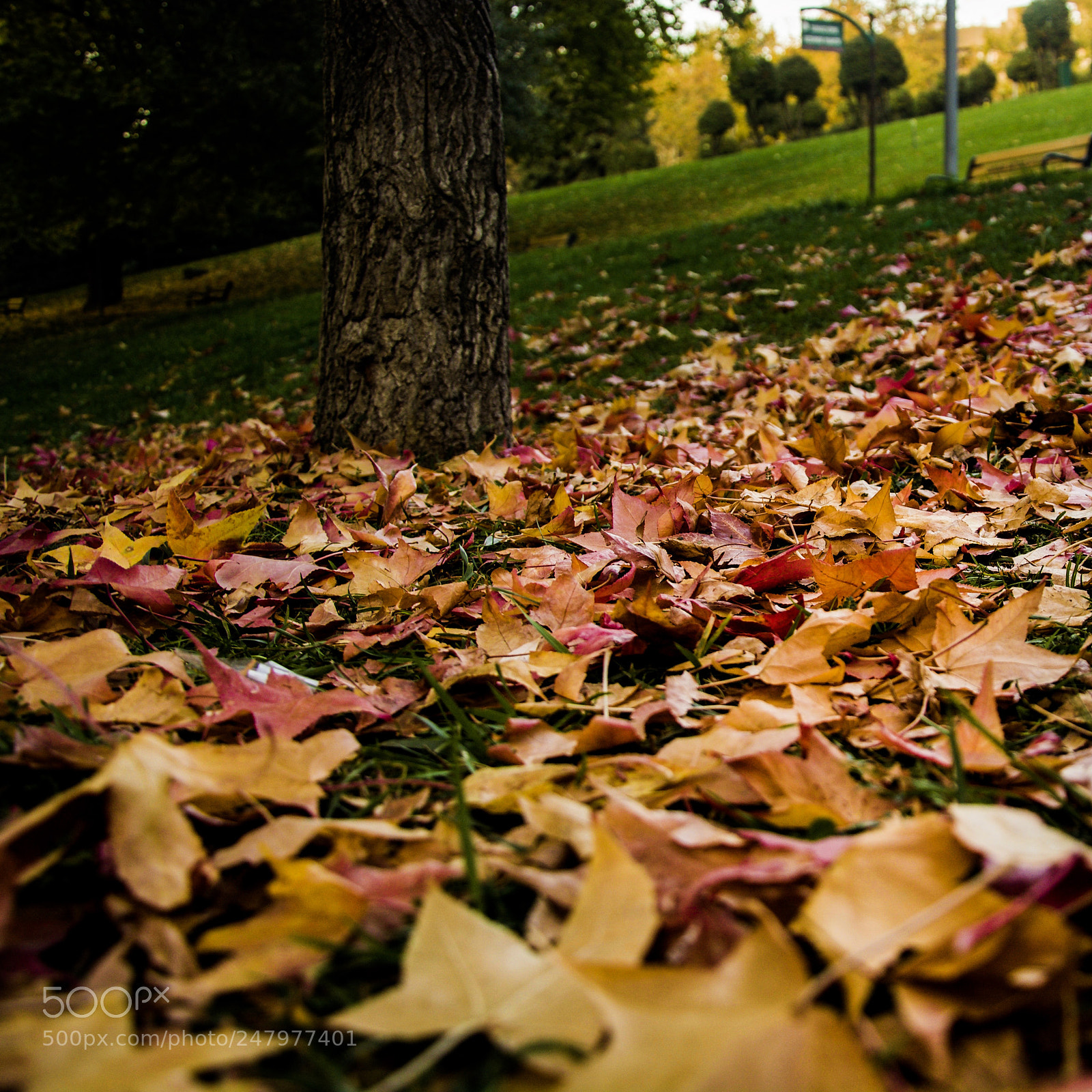 Nikon D7100 sample photo. ??? photography