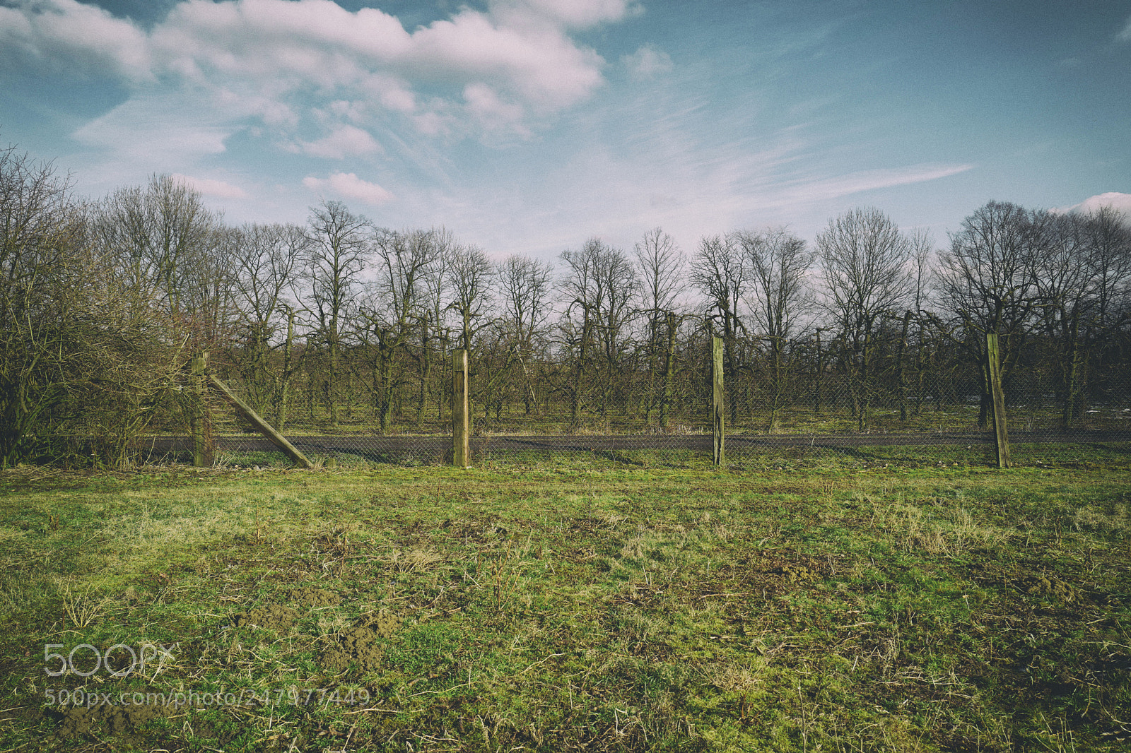 Leica Q (Typ 116) sample photo. Greentree photography