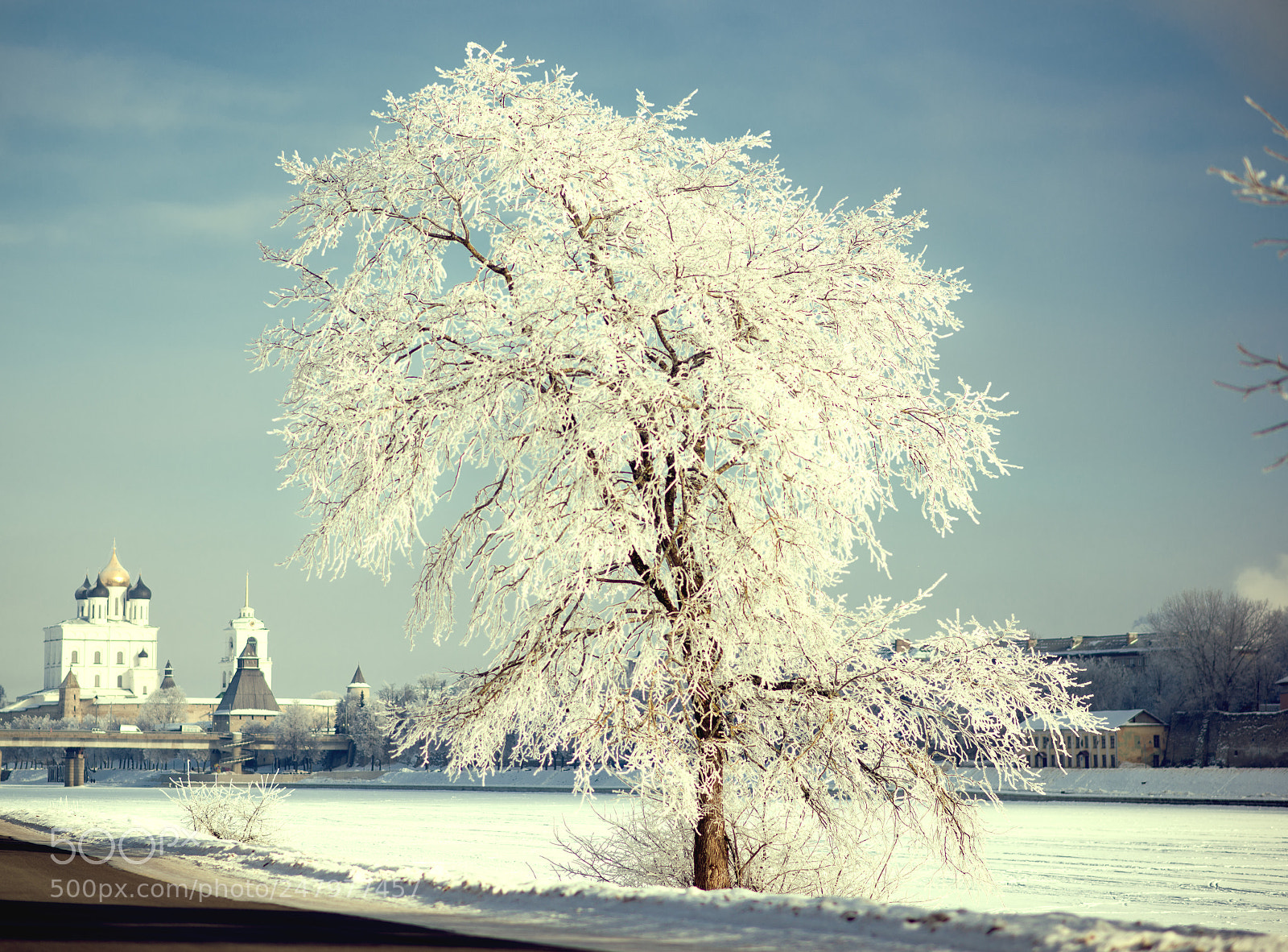 Nikon D600 sample photo. Winter morning photography