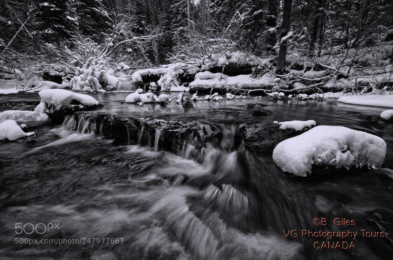 Pentax K-5 IIs sample photo. Peaceful moment photography