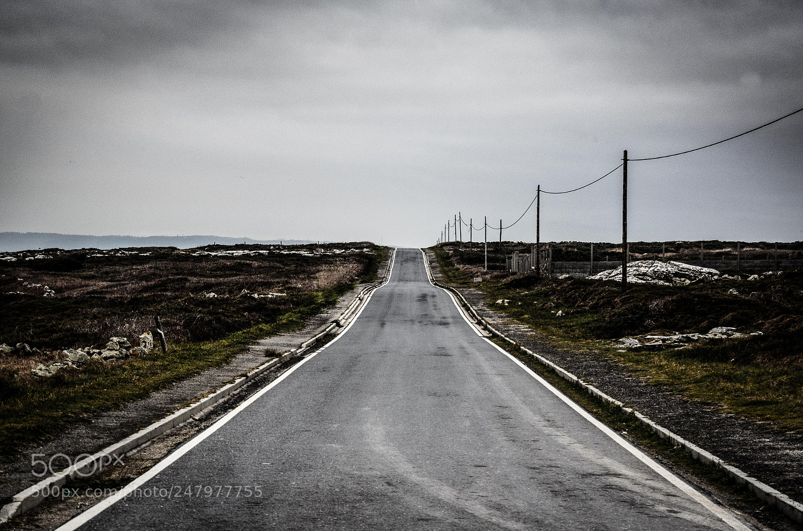 Nikon D5100 sample photo. The road photography