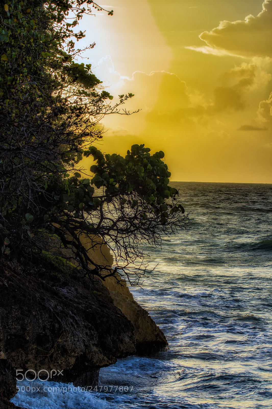 Nikon D7200 sample photo. Cliff in the morning photography