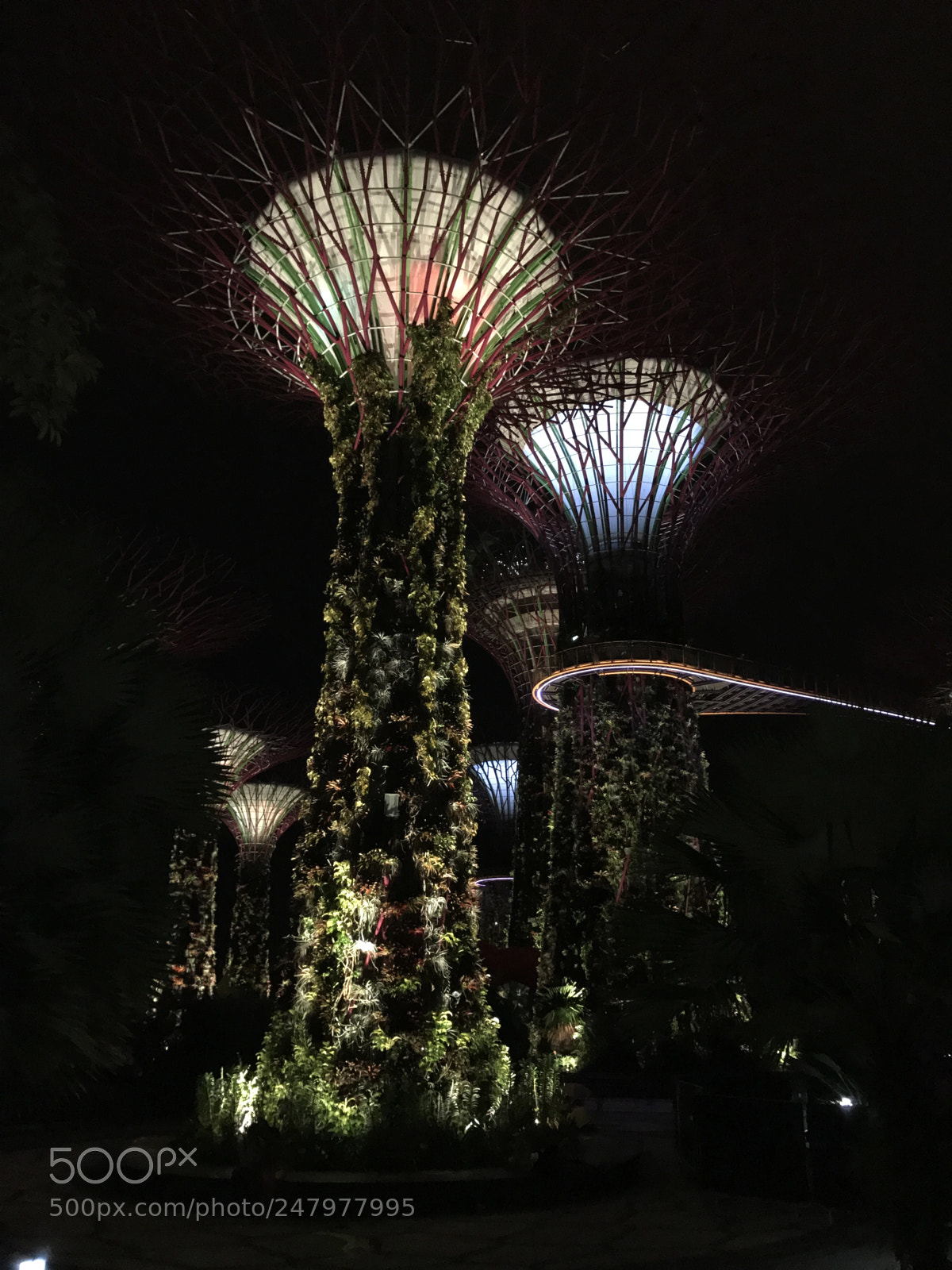 Apple iPhone 7 sample photo. Gardens by the bay photography
