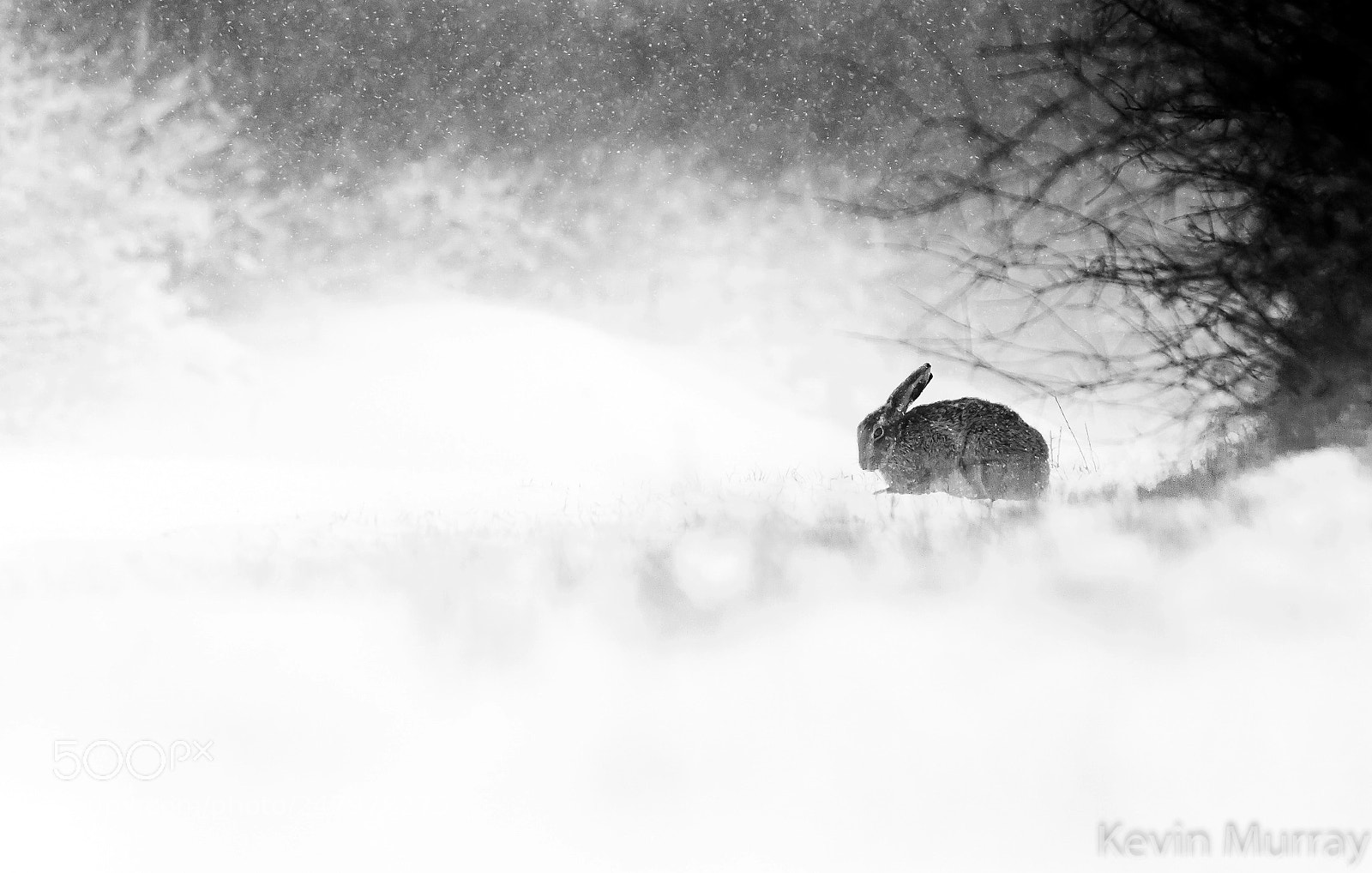 Canon EOS 7D Mark II sample photo. Harsh conditions for a photography