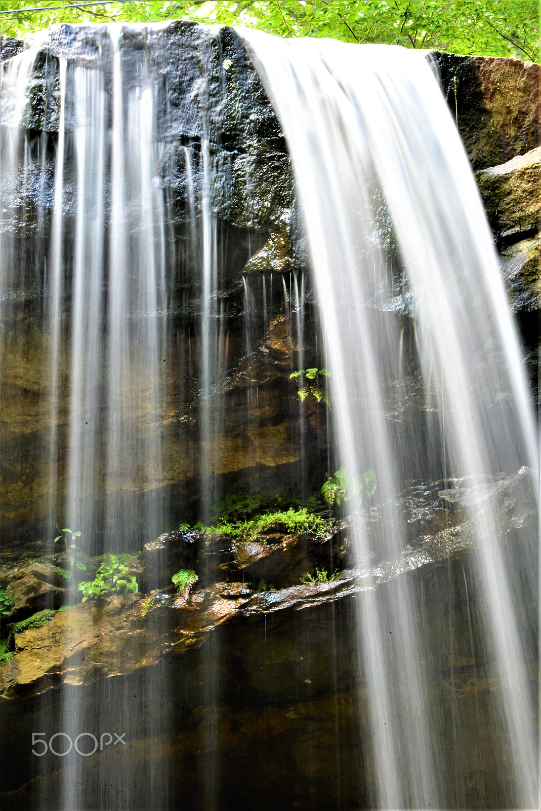 Nikon D610 sample photo. Cucumber falls photography