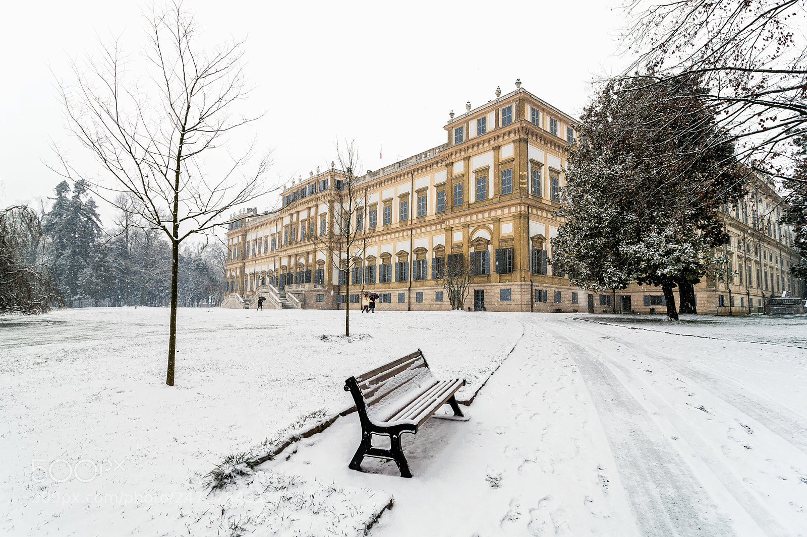 Nikon D7100 sample photo. Monza, parco villa reale photography