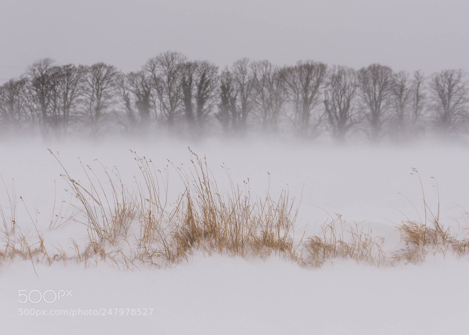 Nikon D7200 sample photo. Winter drifts in the photography