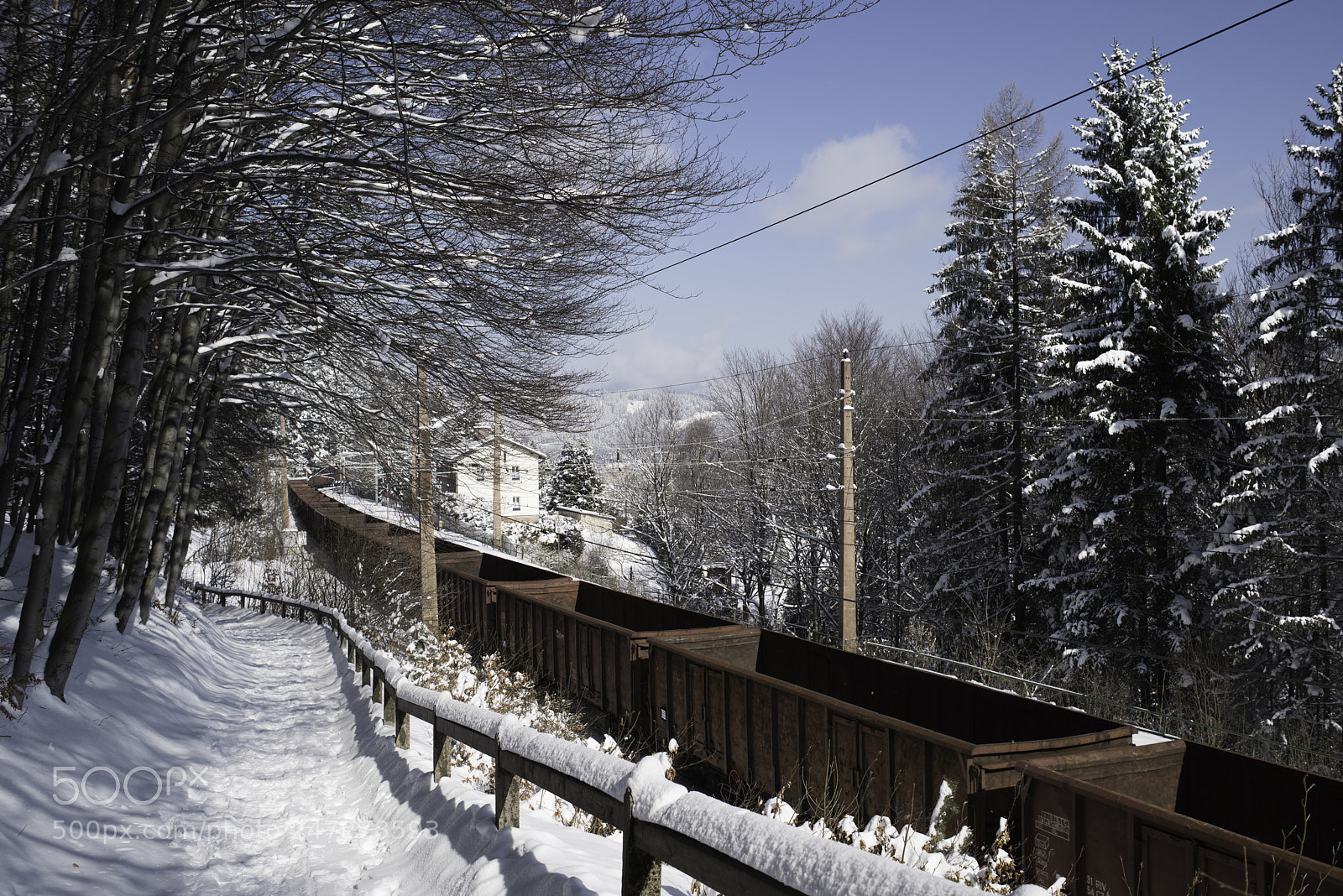 Nikon D810 sample photo. Semmering photography