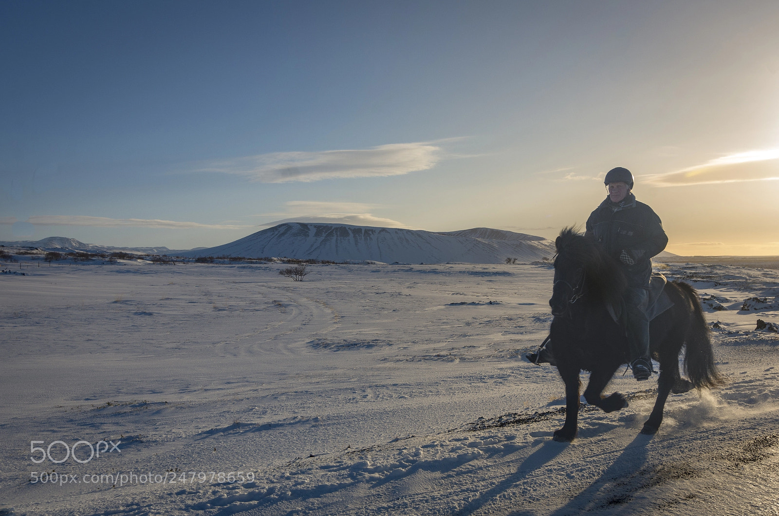 Pentax K-5 II sample photo. Gallop in the snow photography
