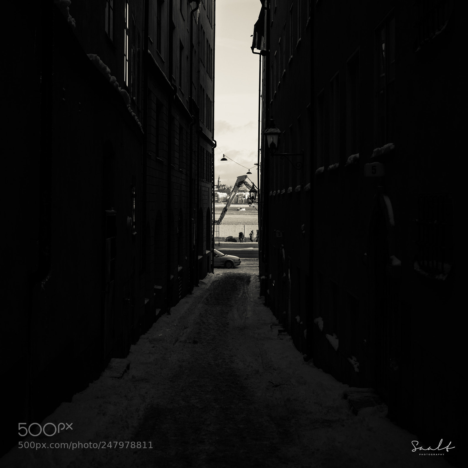 Sony a7R II sample photo. Mono græn photography