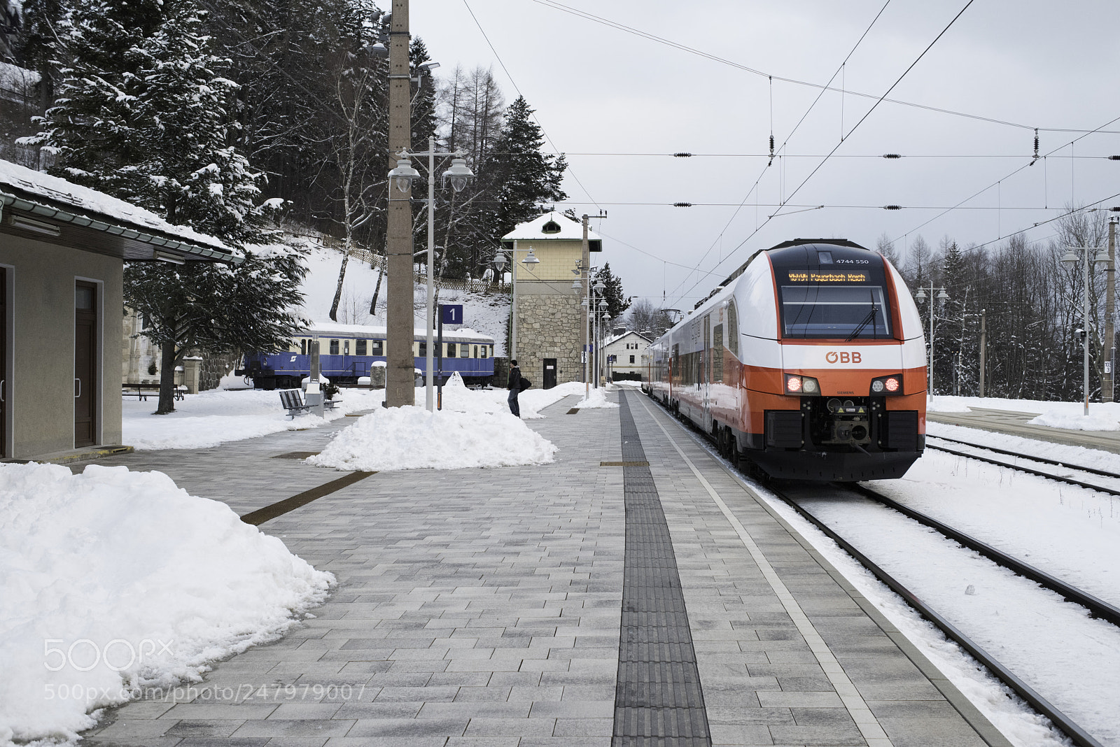 Nikon D810 sample photo. Semmering photography