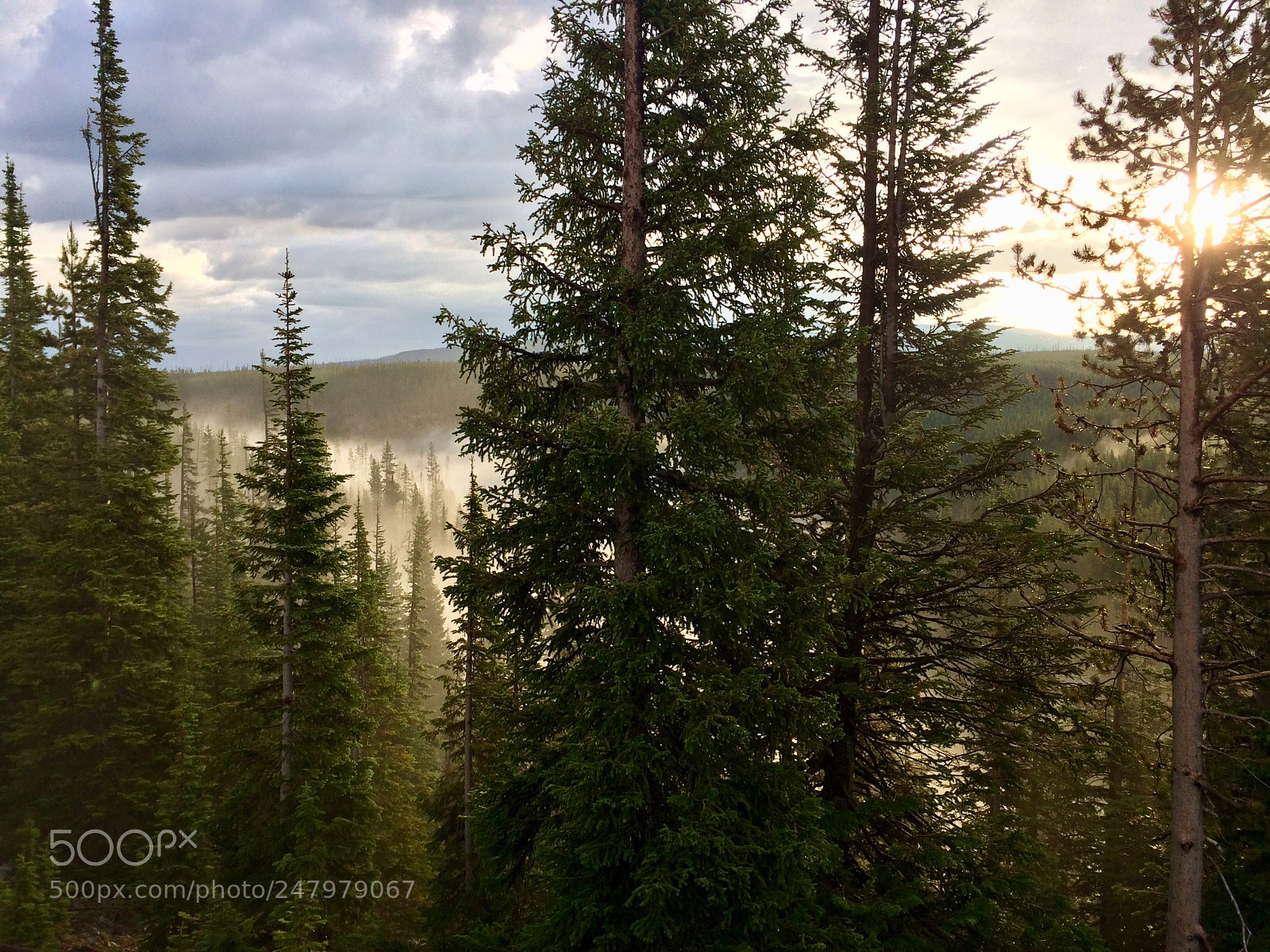 Apple iPhone 5s sample photo. Hidden yellowstone photography