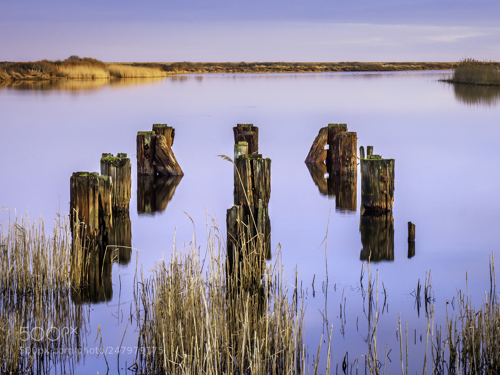 Olympus OM-D E-M1 Mark II sample photo. Pier remnants photography