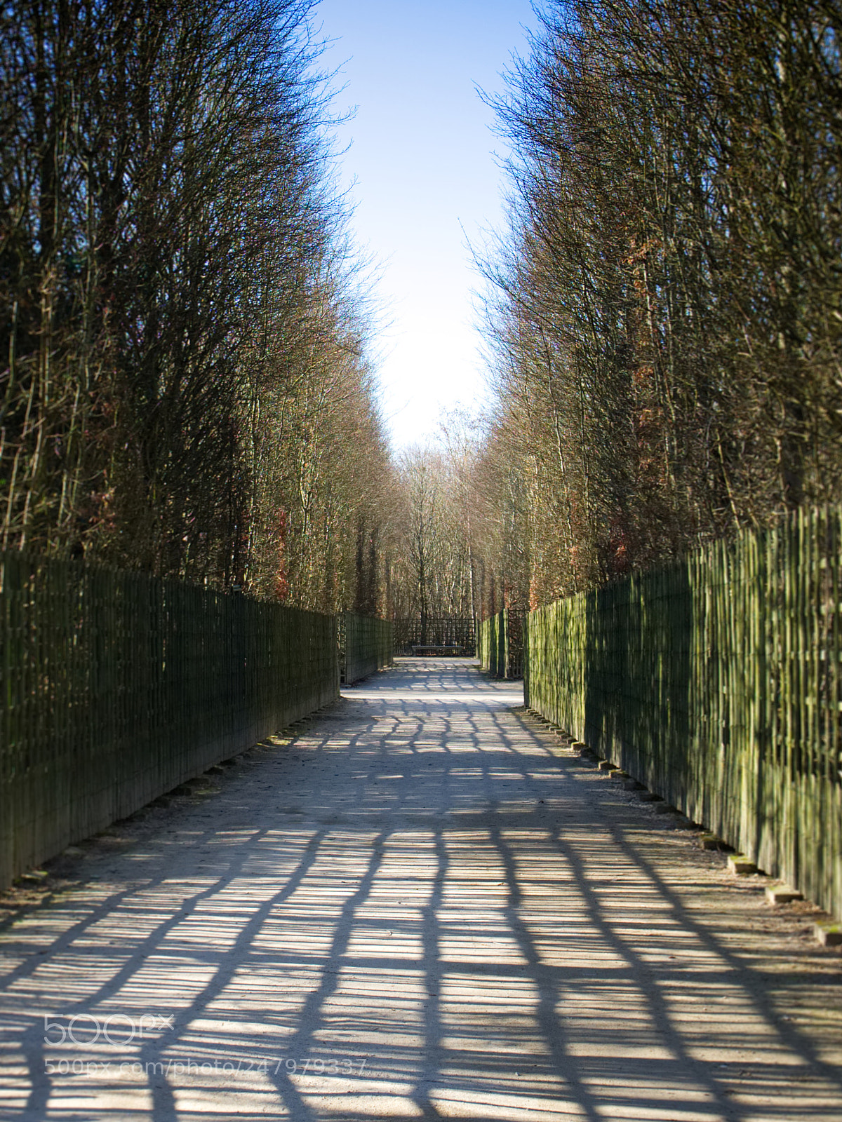 Olympus OM-D E-M1 sample photo. Versailles photography