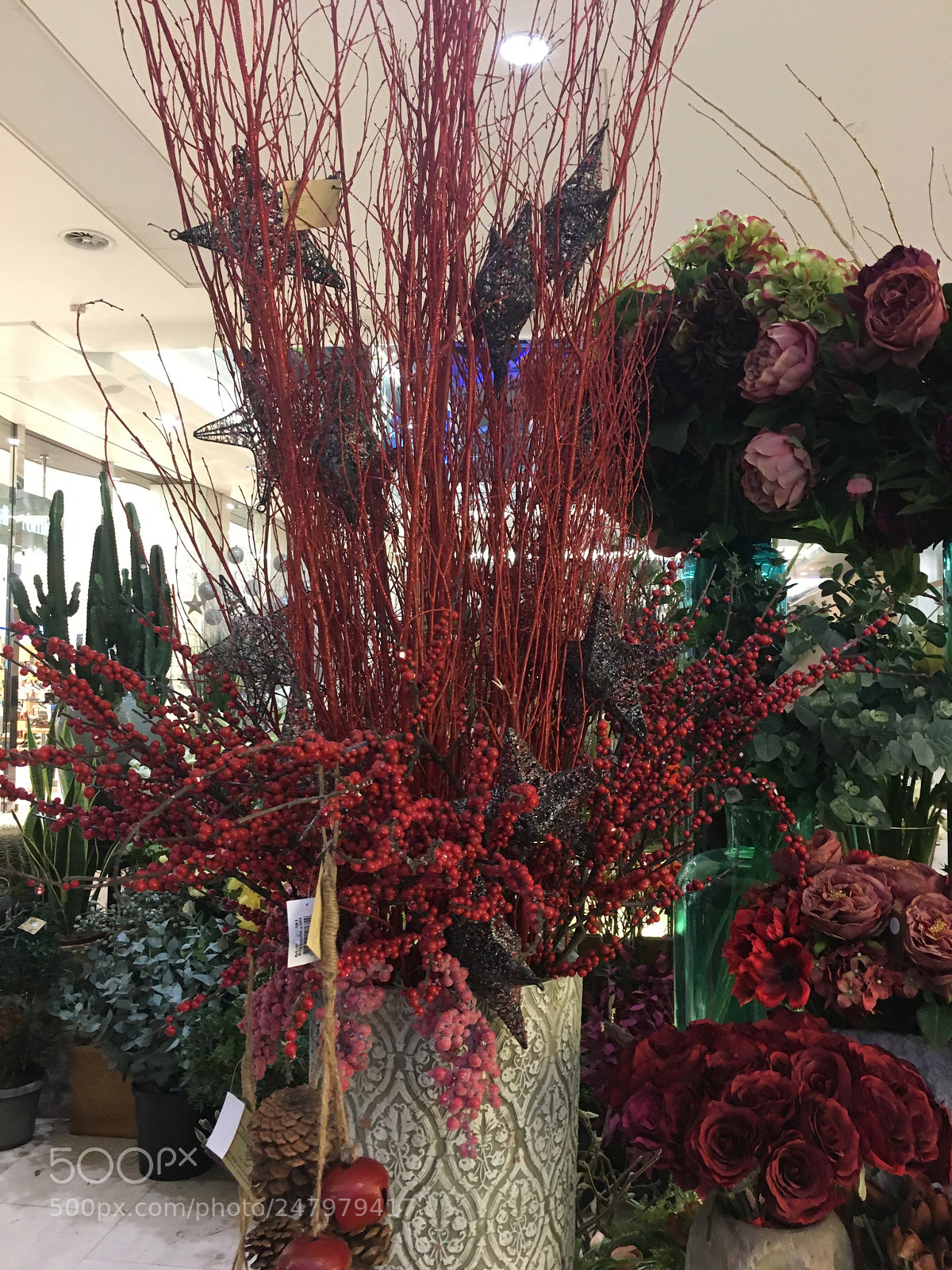 Apple iPhone 6s sample photo. Img photography
