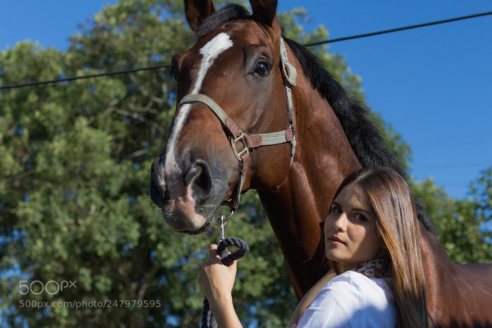 Canon EOS 700D (EOS Rebel T5i / EOS Kiss X7i) sample photo. New lifestyle, ana luisa photography