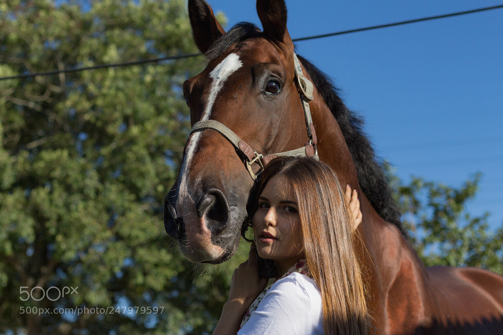 Canon EOS 700D (EOS Rebel T5i / EOS Kiss X7i) sample photo. New lifestyle, ana luisa photography