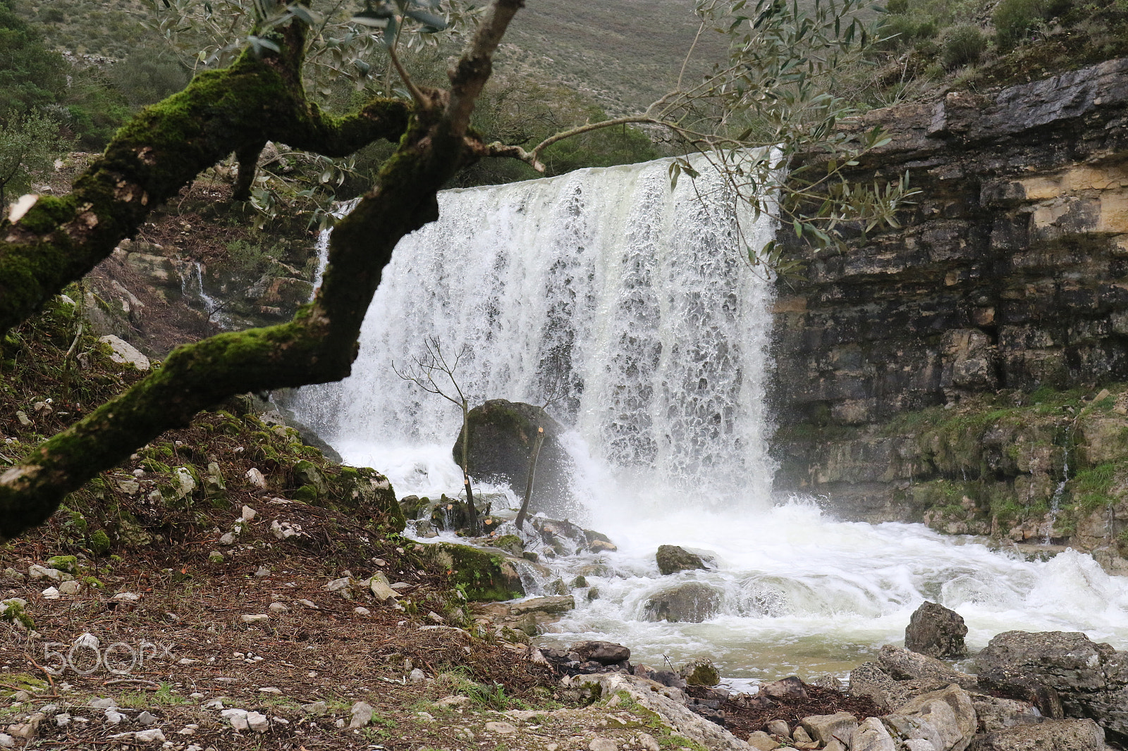 Canon EF 24-70mm F4L IS USM sample photo. Water photography