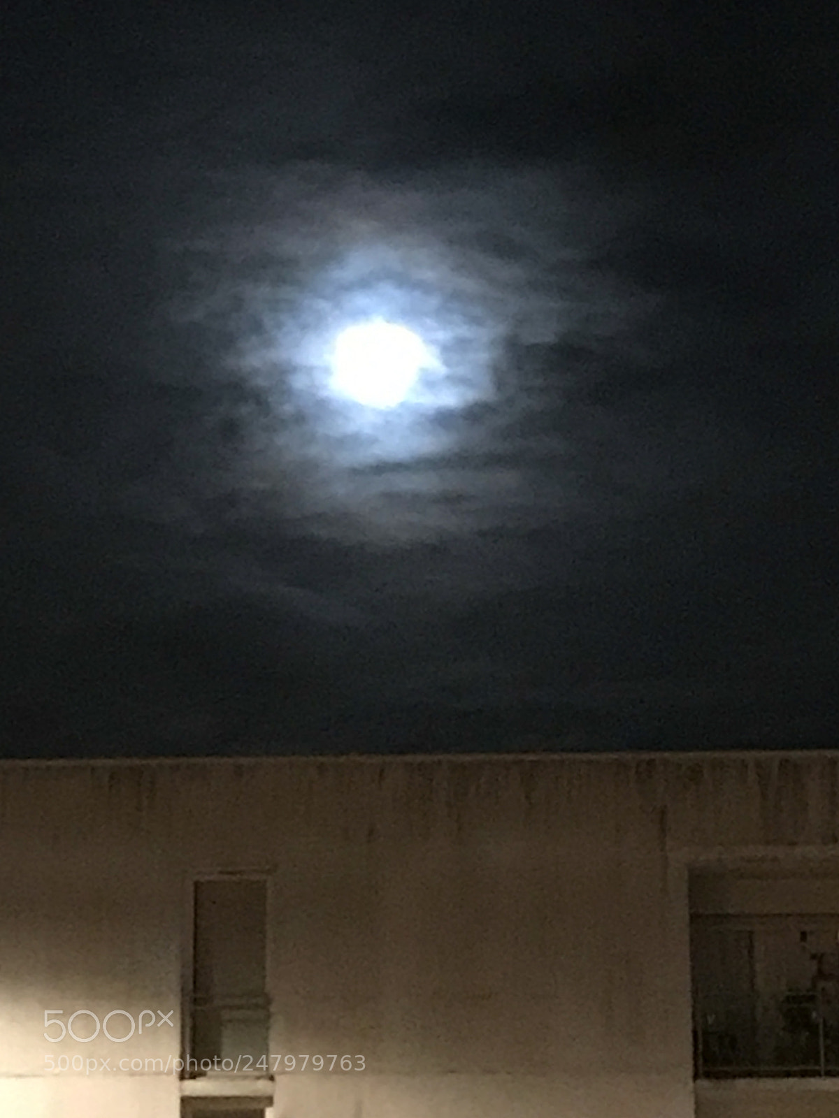 Apple iPhone 7 Plus sample photo. Untitled photography