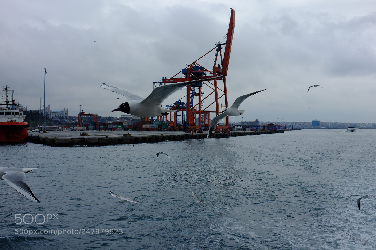 Fujifilm FinePix X100 sample photo. Istanbul photography
