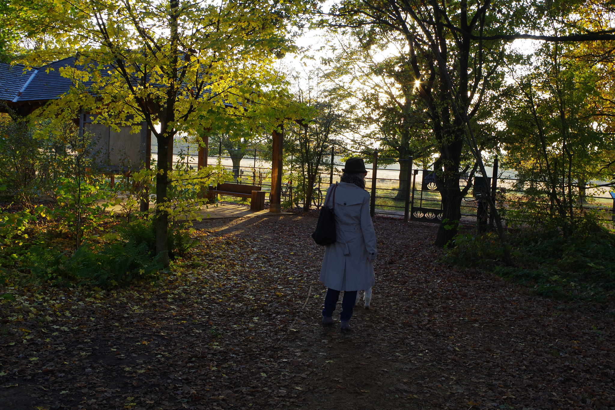 smc PENTAX-DA L 18-55mm F3.5-5.6 sample photo. Imgp photography