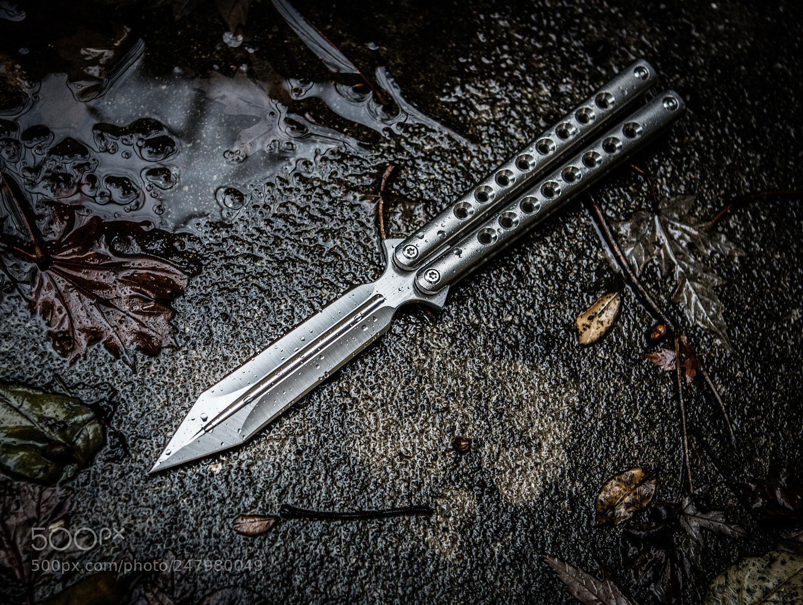 Canon EOS 5DS R sample photo. 4r3a5356-1-2.jpg photography