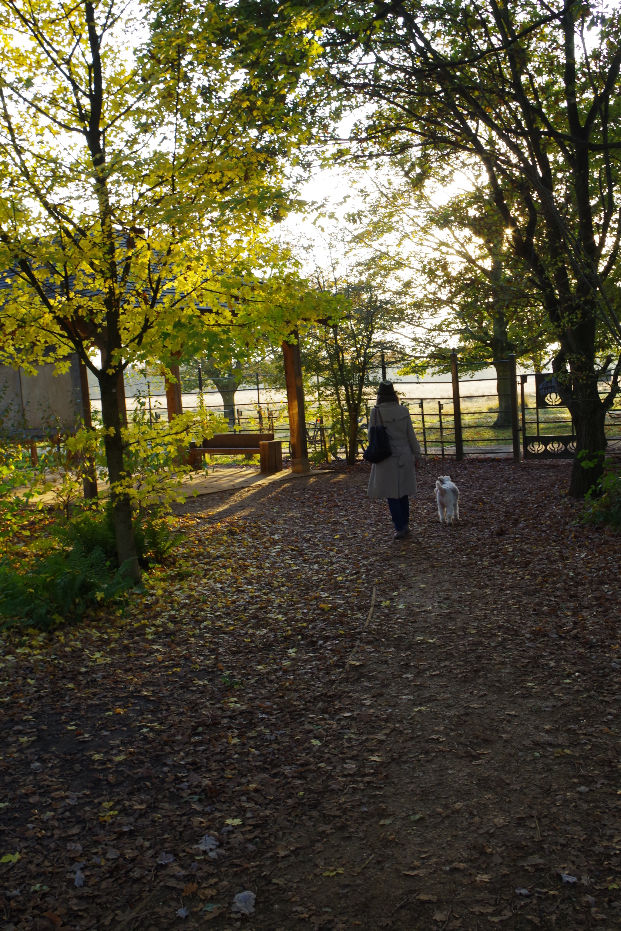 smc PENTAX-DA L 18-55mm F3.5-5.6 sample photo. Imgp photography
