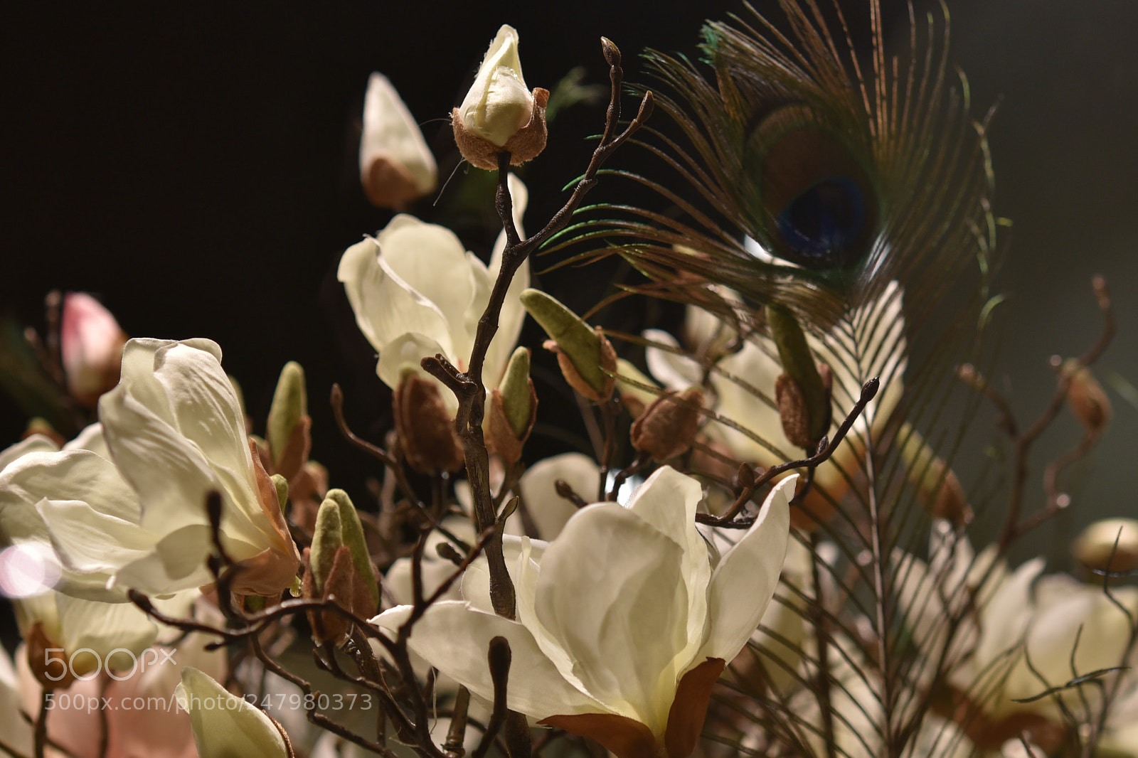 Nikon AF-S Micro-Nikkor 60mm F2.8G ED sample photo. Der fr hling im photography