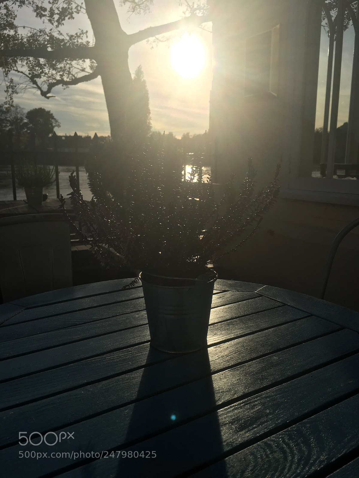 Apple iPhone 6s sample photo. Img photography