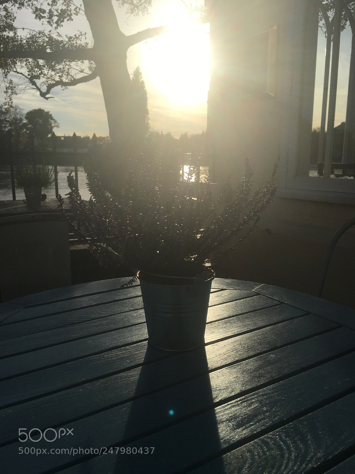 Apple iPhone 6s sample photo. Img photography