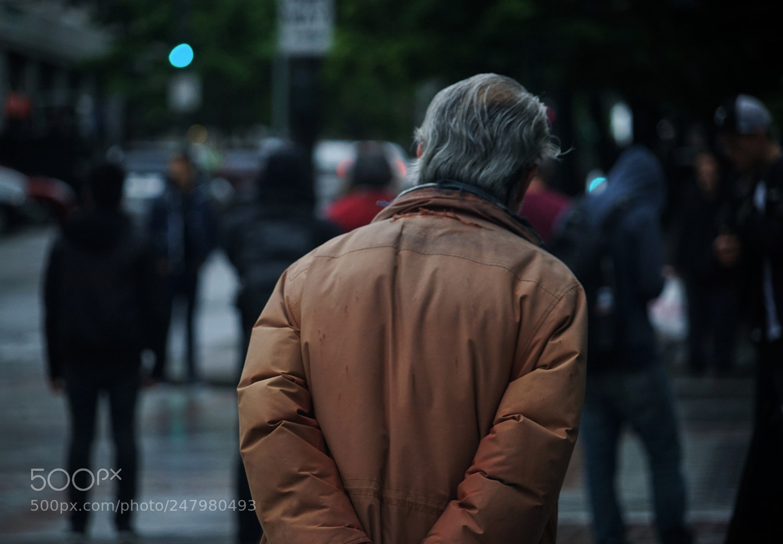 Sony a7 sample photo. Untitled photography