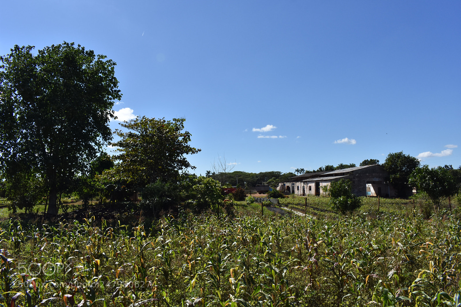 Nikon D3400 sample photo. Pristine countryside photography