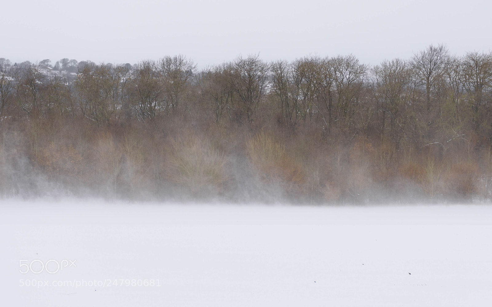 Nikon D7200 sample photo. Colour through te drift. photography