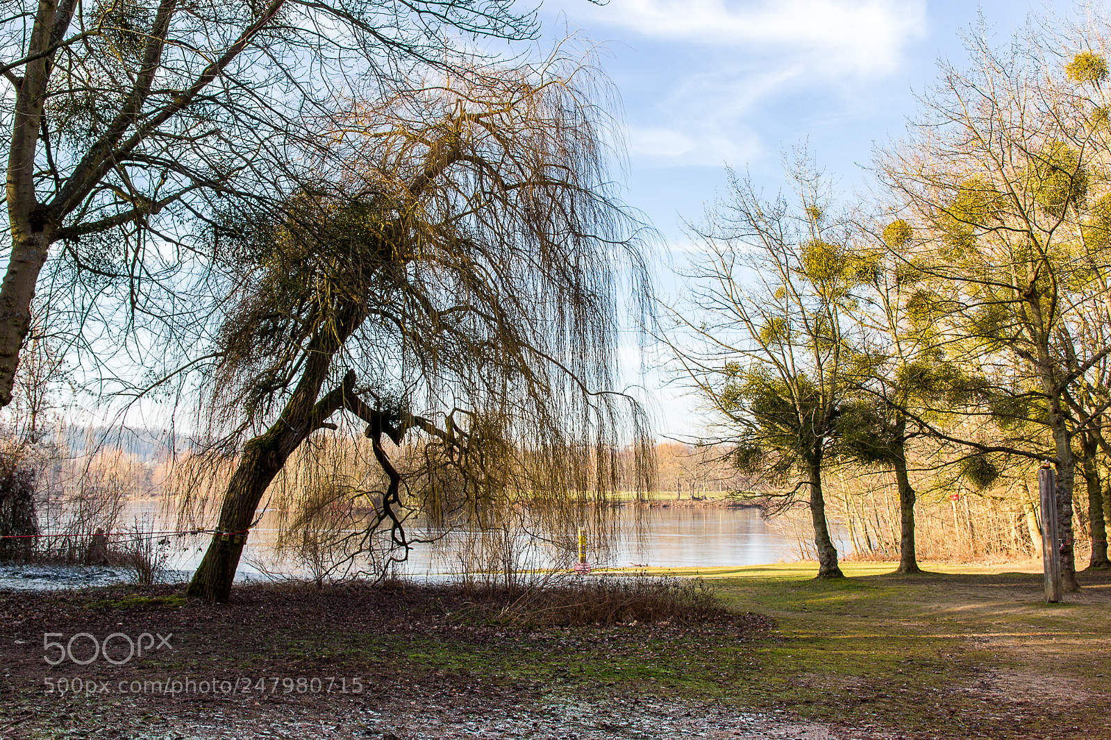 Canon EOS 550D (EOS Rebel T2i / EOS Kiss X4) sample photo. Cergy janvier photography