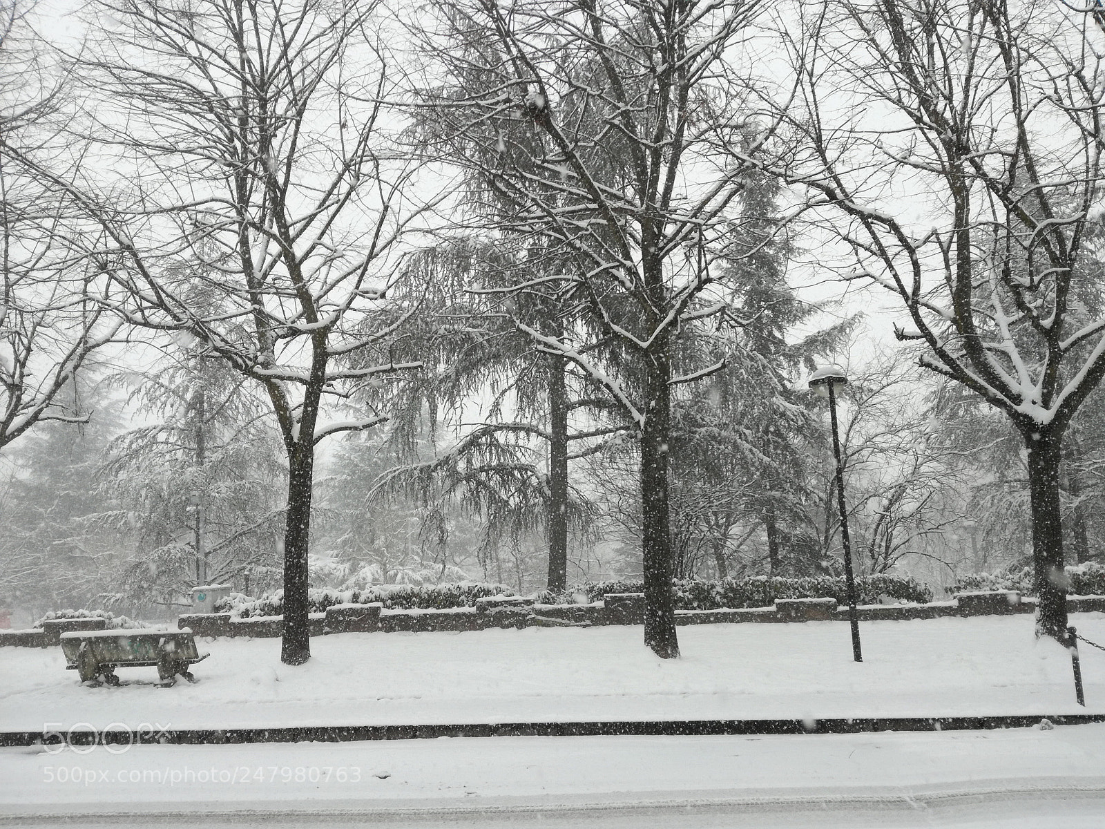 HUAWEI P9 LITE sample photo. Snow photography
